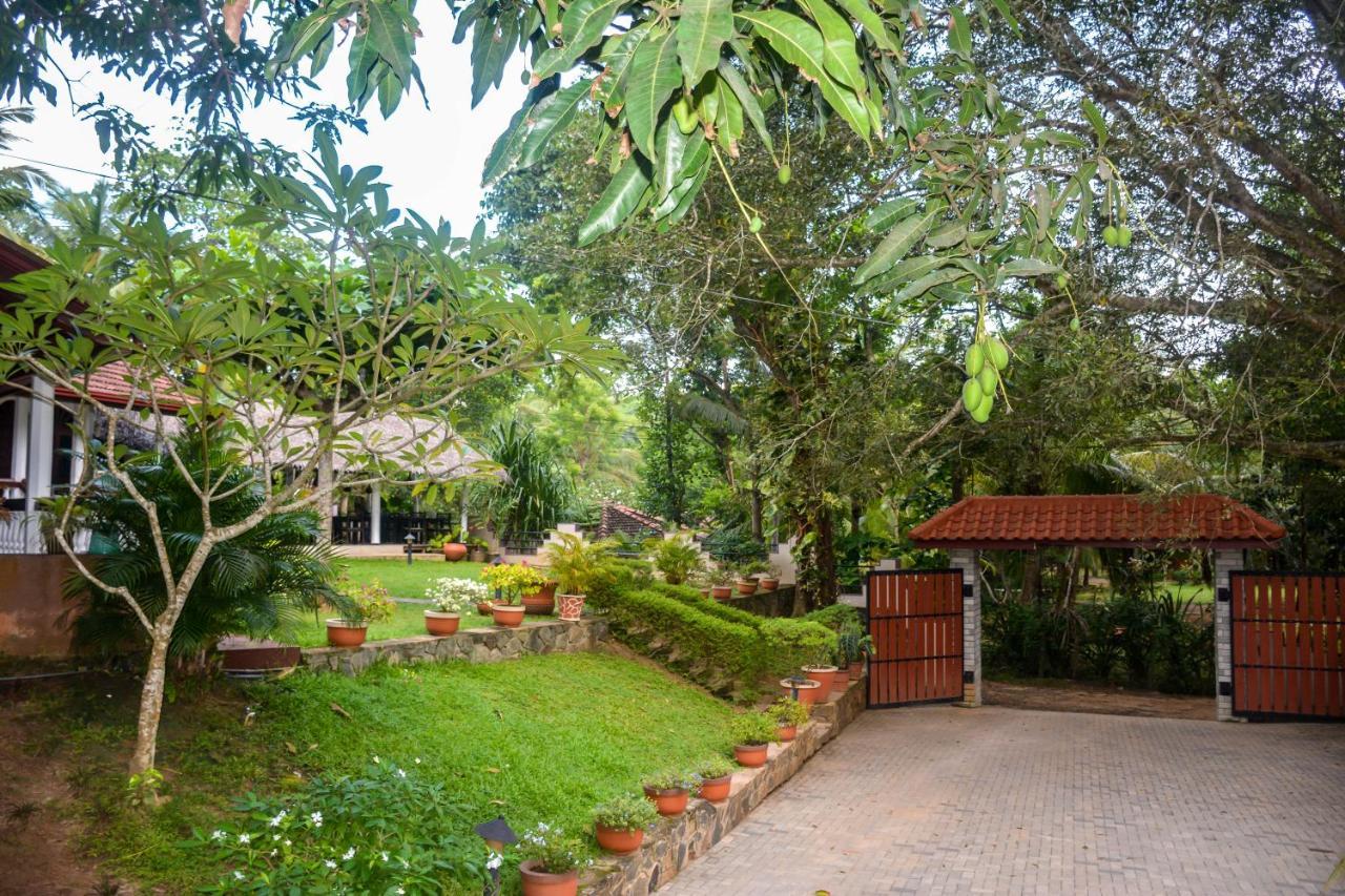 Goyambokka Guesthouse Tangalle Εξωτερικό φωτογραφία