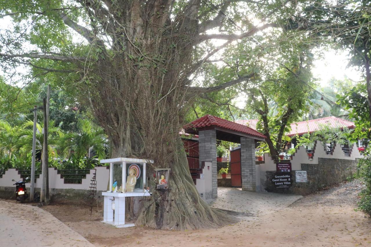 Goyambokka Guesthouse Tangalle Εξωτερικό φωτογραφία